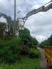 เจ้าหน้าที่กองช่าง งานไฟฟ้าสาธารณะเทศบาลตำบลธาตุทอง ออกซ่อมไ